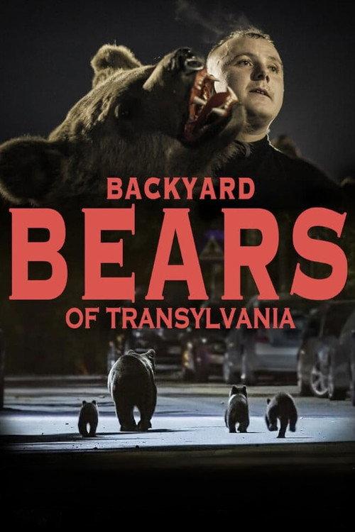 Backyard Bears of Transylvania 2023 official movie poster