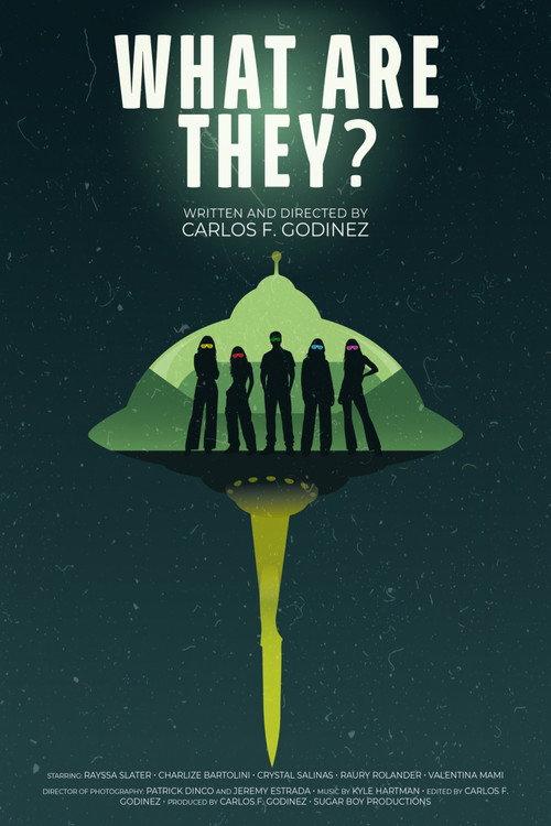 What Are They? official movie poster