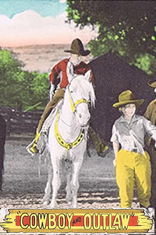 The Cowboy and the Outlaw 1929 official movie poster