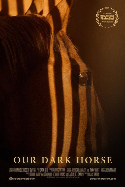 Our Dark Horse 2026 official movie poster