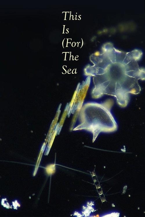This Is (for) the Sea 2025 official movie poster
