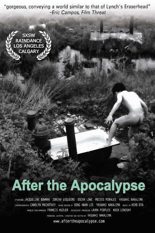 After the Apocalypse 2004 official movie poster