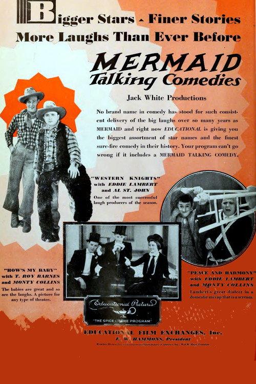 Western Knights 1930 official movie poster