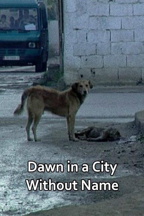 Dawn in a City Without Name 2014 official movie poster