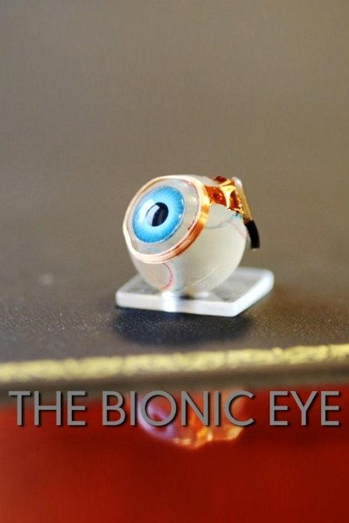 The Bionic Eye 2012 official movie poster