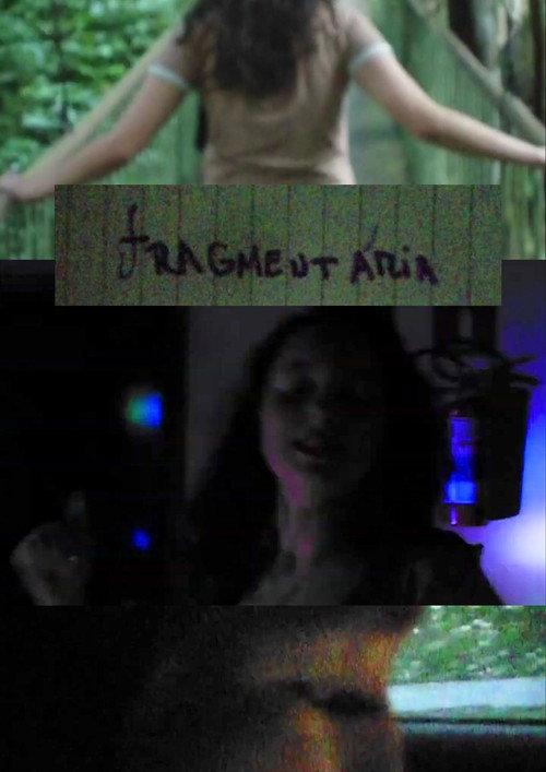 Fragmentary 2024 official movie poster