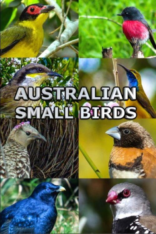 Australian Small Birds 2021 official movie poster