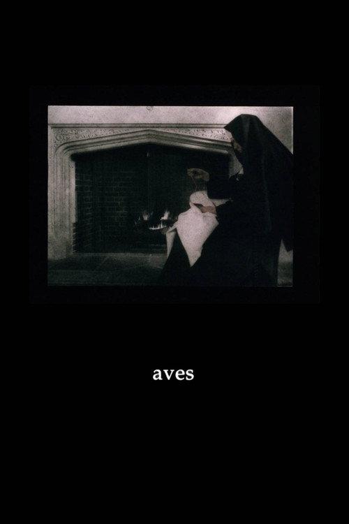 Aves 1998 official movie poster