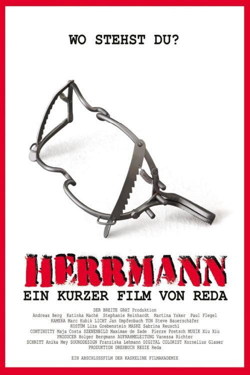 Herrmann 2013 official movie poster
