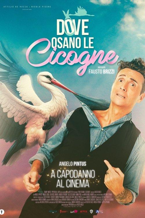 Where Storks Dare 2025 official movie poster