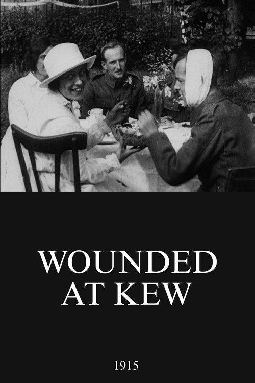 Wounded at Kew 1915 official movie poster