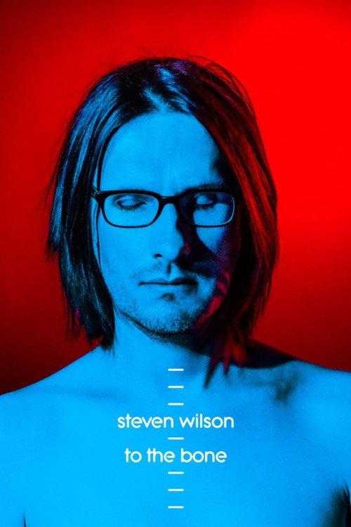 Steven Wilson: Ask Me Nicely - The Making of To The Bone 2017 official movie poster