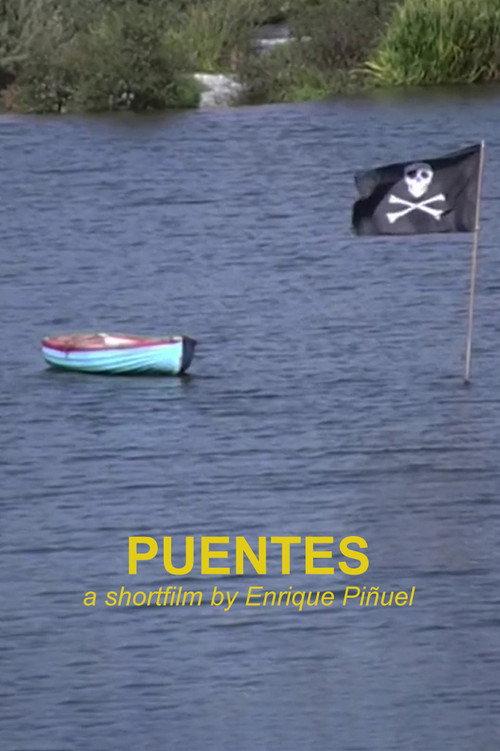 Puentes 2012 official movie poster