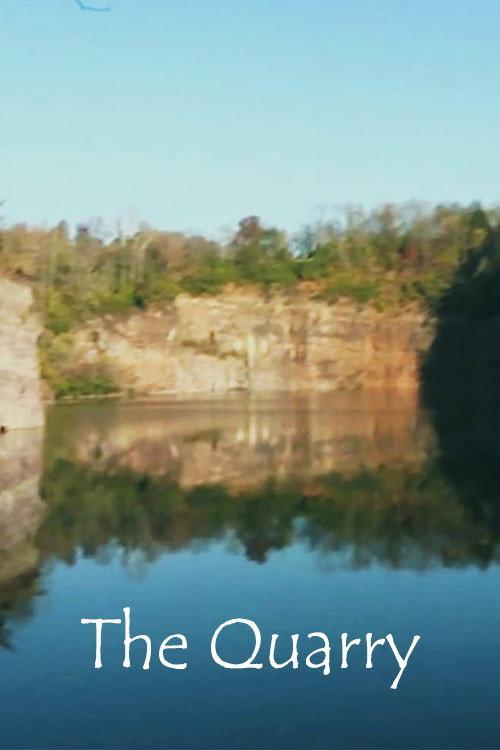 The Quarry 2011 official movie poster