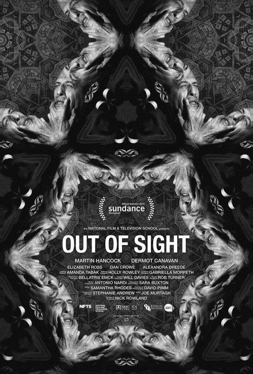 Out of Sight 2015 official movie poster