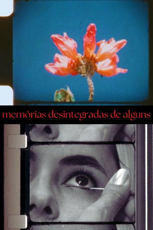 Disintegrated Memories of Some 2024 official movie poster