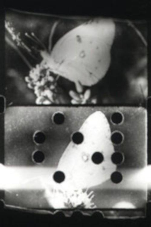 Flutter 1993 official movie poster