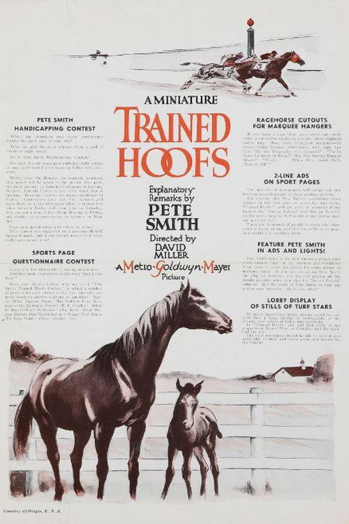 Trained Hoofs 1935 official movie poster