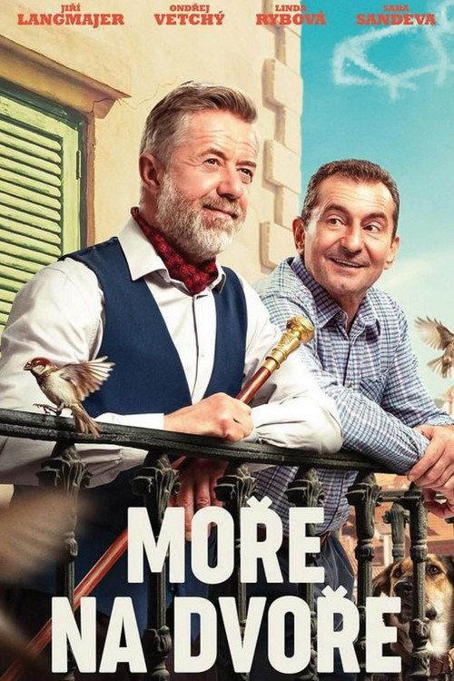 Sea of Hope 2025 official movie poster