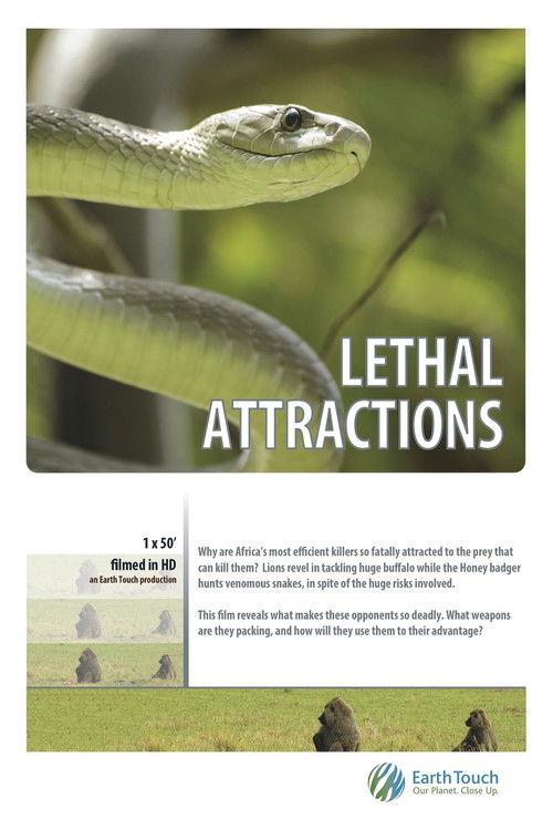 Lethal Attractions 2014 official movie poster