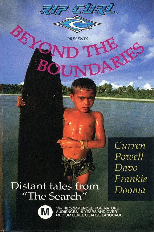 The Search 3: Beyond the Boundaries 1994 official movie poster