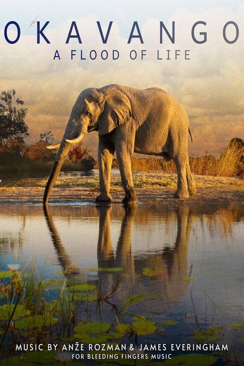 Okavango: A Flood of Life 2021 official movie poster