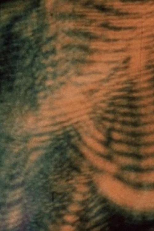 Laserimage 1972 official movie poster