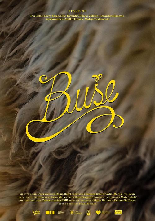 Bushe 2026 official movie poster