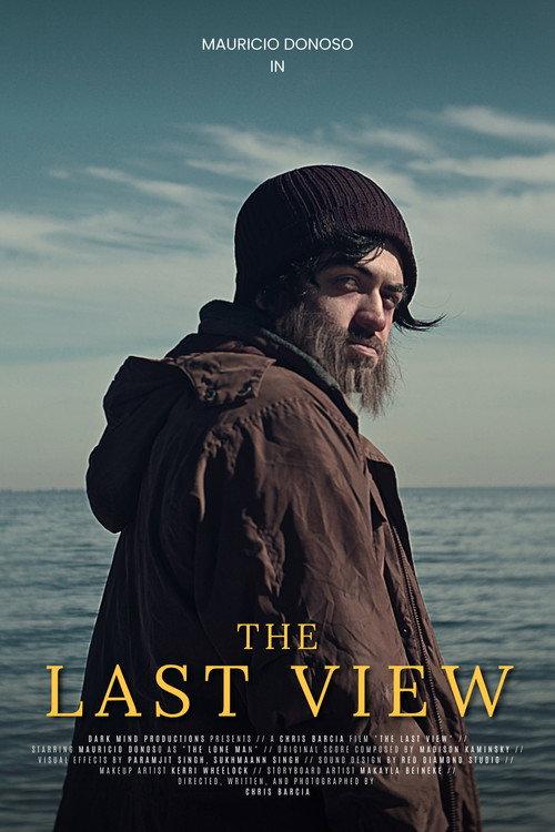 The Last View 2024 official movie poster