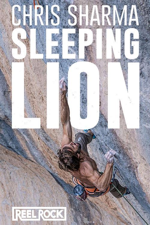 Sleeping Lion 2023 official movie poster