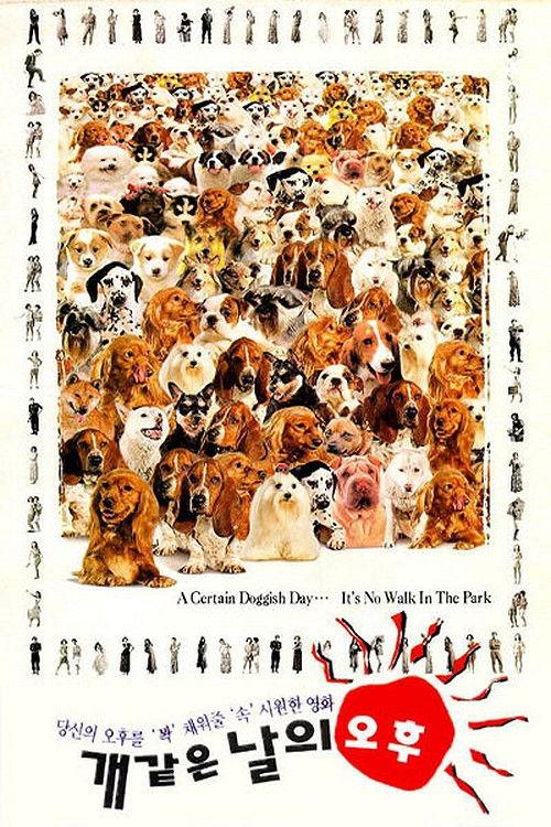 A Hot Roof 1995 official movie poster
