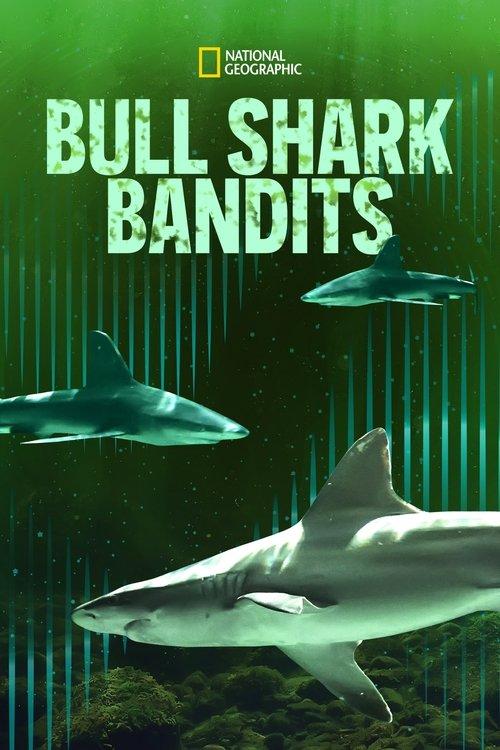Bull Shark Bandits 2023 official movie poster