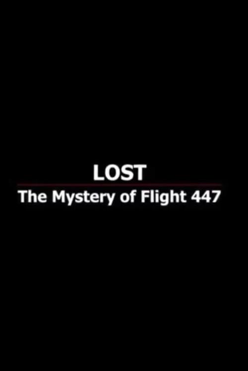 Lost: The Mystery of Flight 447 2010 official movie poster