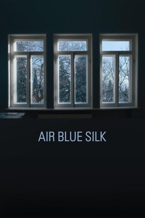 Air Blue Silk 2024 official movie poster
