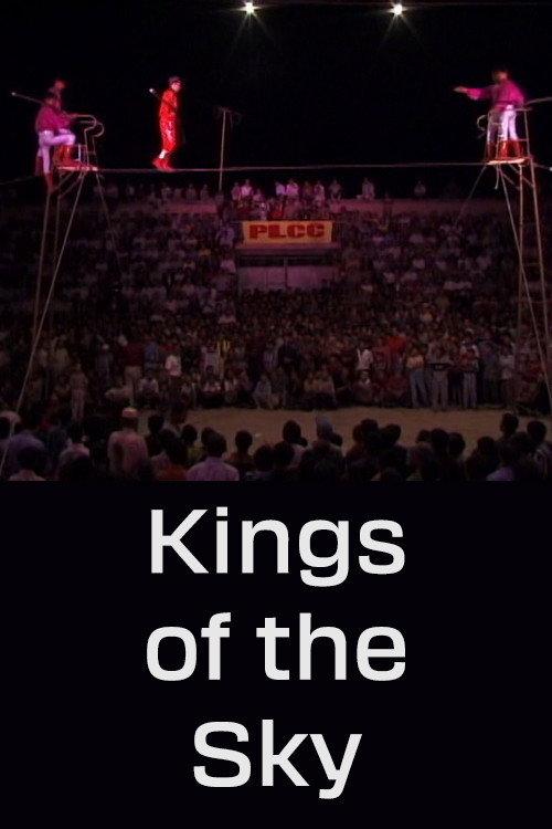Kings of the Sky 2004 official movie poster