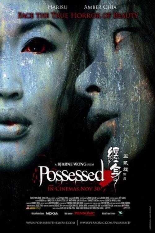 Possessed 2006 official movie poster