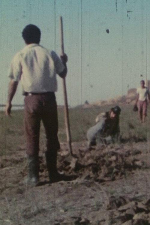Poison River 1975 official movie poster