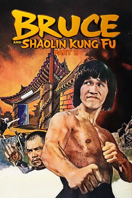 Bruce and Shaolin Kung Fu Part 2 1978 official movie poster