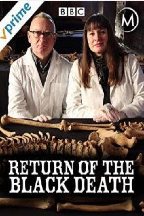 Return of the Black Death 2014 official movie poster