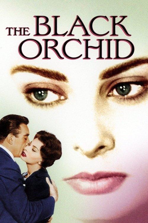 The Black Orchid 1959 official movie poster