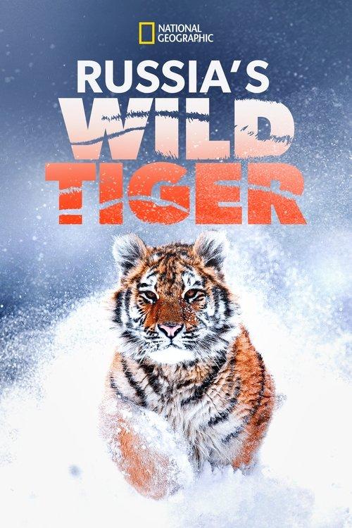Russia's Wild Tiger 2022 official movie poster