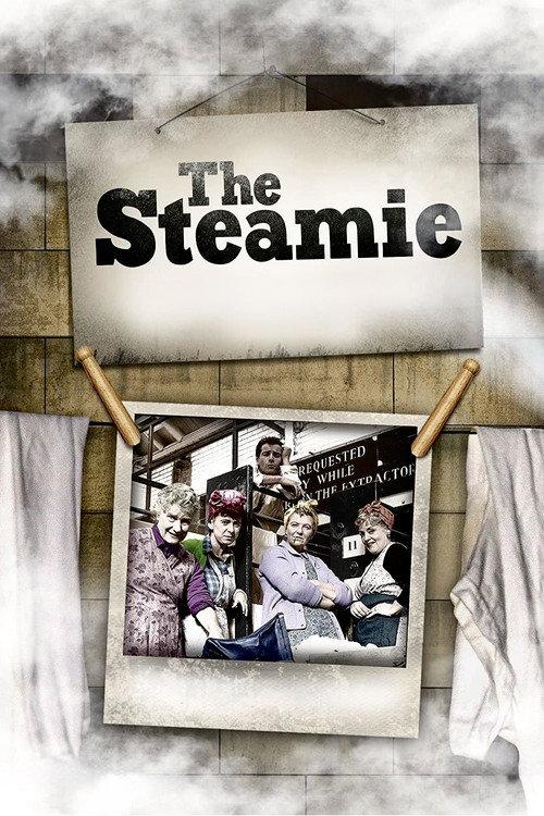 The Steamie 1988 official movie poster