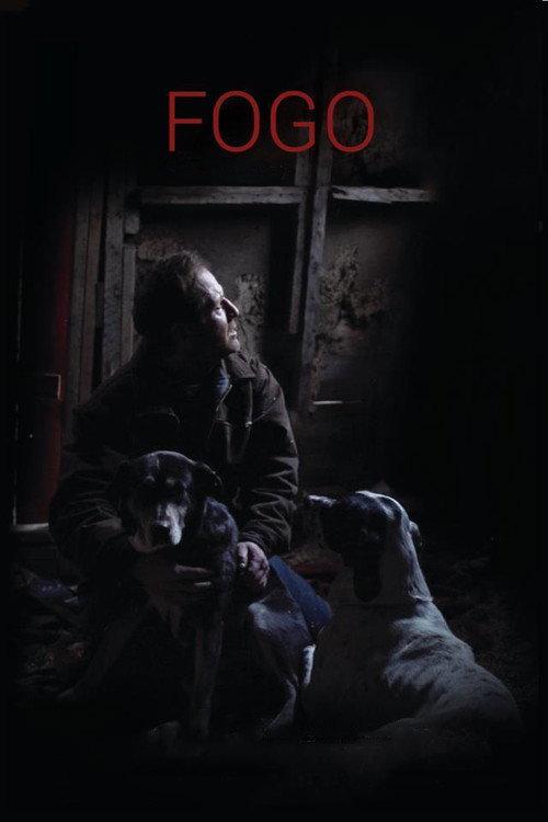 Fogo 2012 official movie poster
