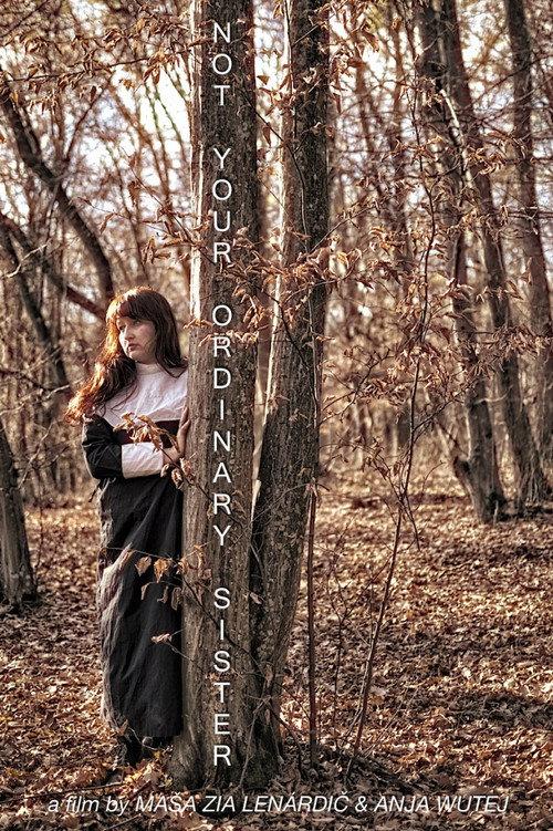 Not Your Ordinary Sister 2019 official movie poster