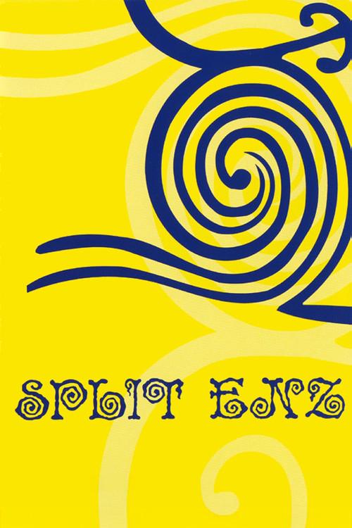 Split Enz 2002 official movie poster