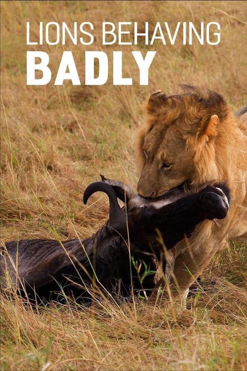 Lions Behaving Badly 2005 official movie poster