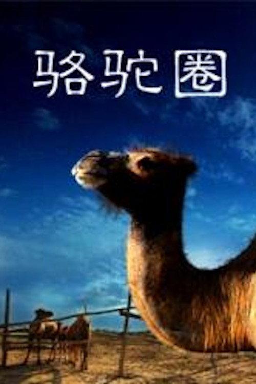 Camel Collar 2010 official movie poster
