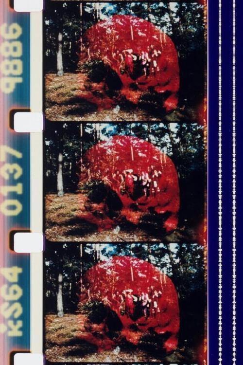 Sun Love 1967 official movie poster