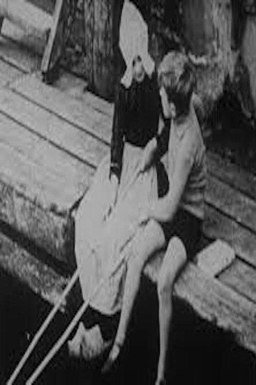 The Little Dutch Tulip Girl 1928 official movie poster