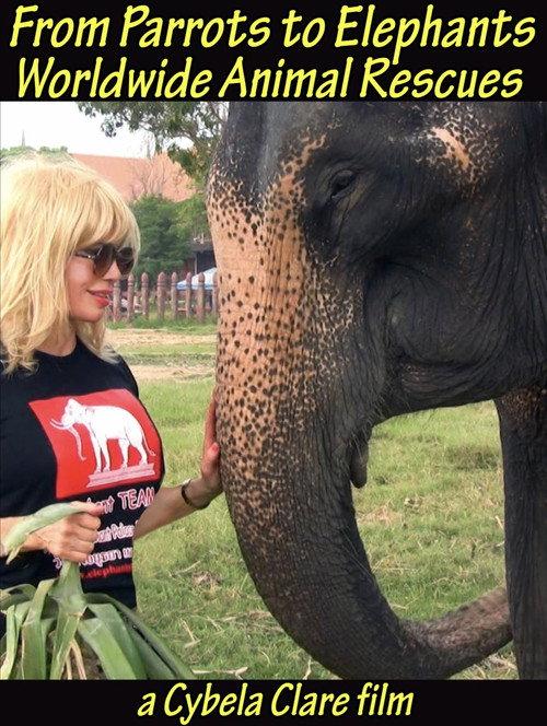 From Parrots to Elephants: Worldwide Animal Rescues  official movie poster